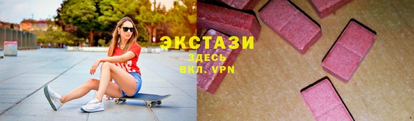 шишки Горняк