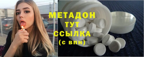 шишки Горняк