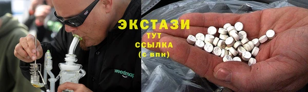гидра Горнозаводск