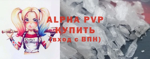 шишки Горняк