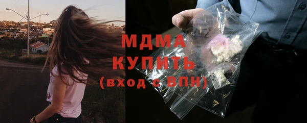 шишки Горняк