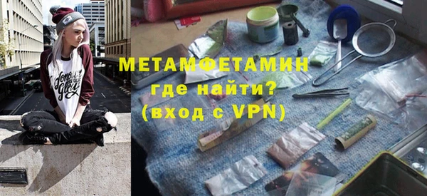 шишки Горняк