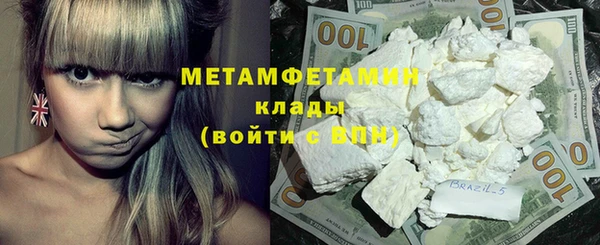 шишки Горняк