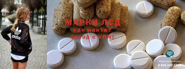 гидра Горнозаводск