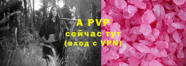 шишки Горняк